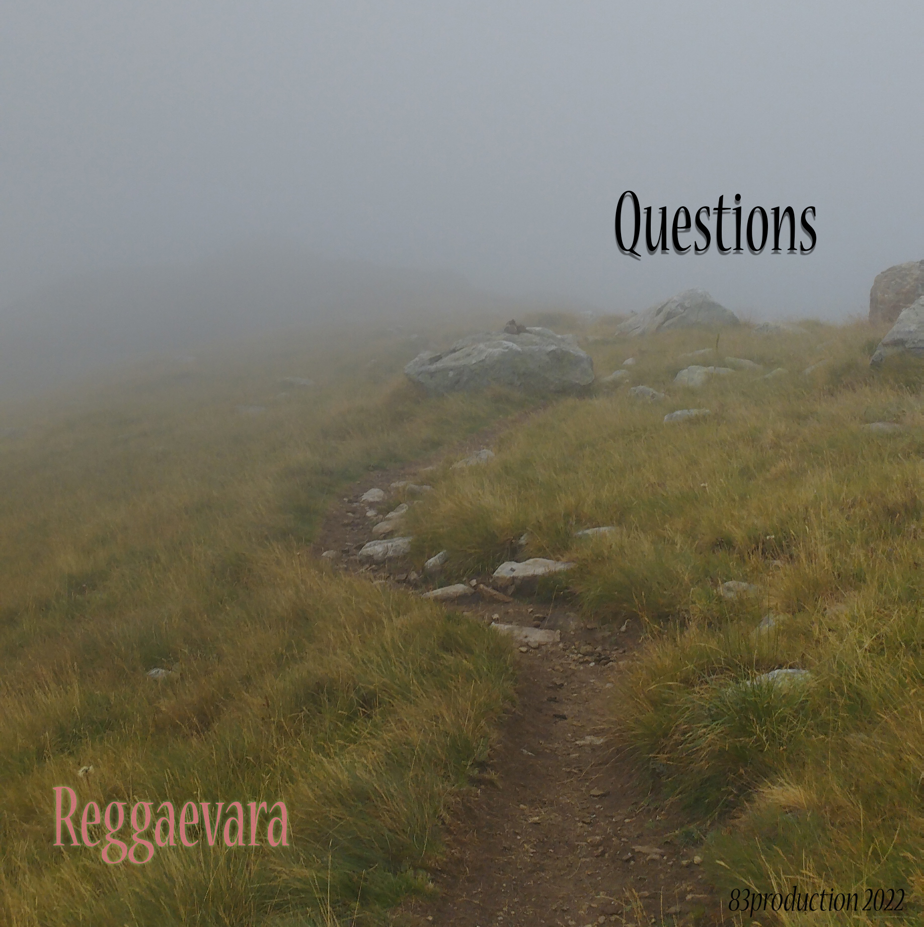 questions.jpg